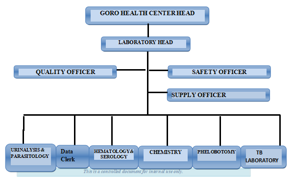 Laboratory Image 2